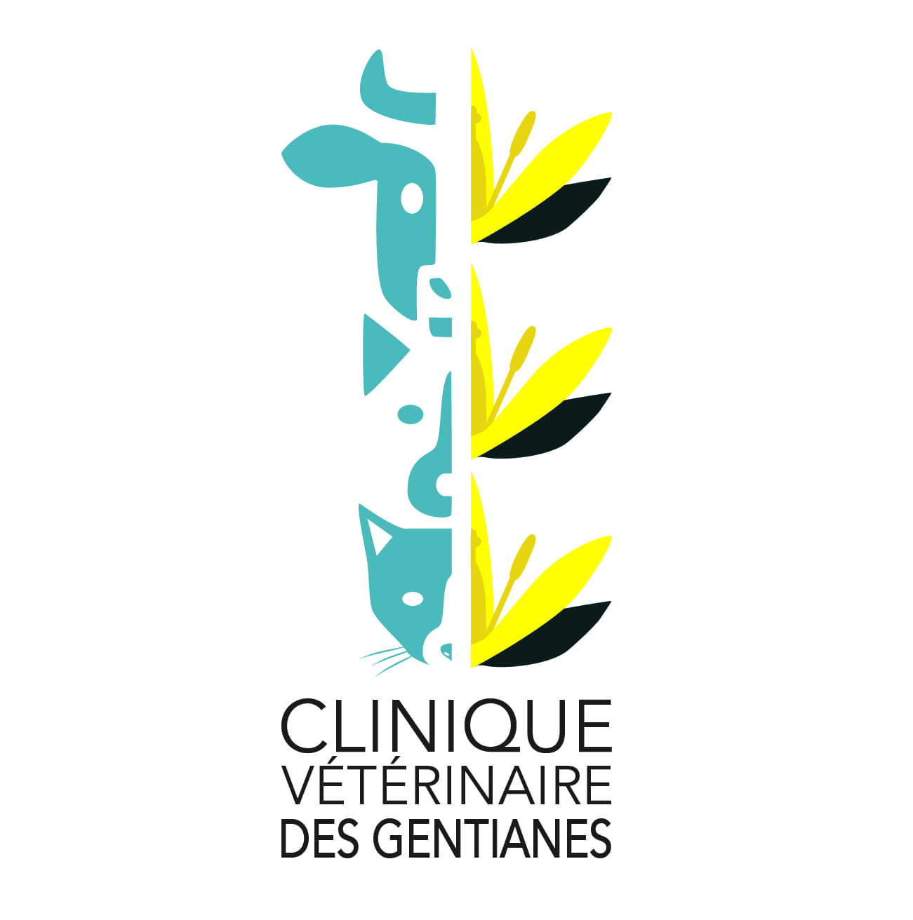 veterinaire